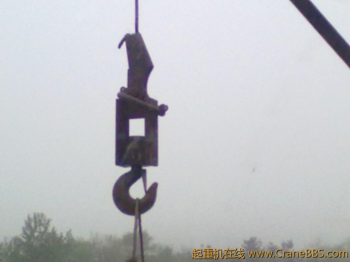 20110509265.jpg
