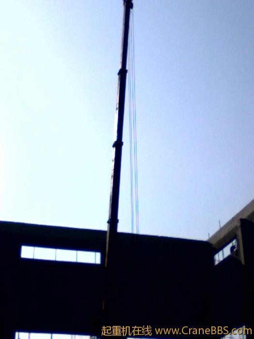20101129018.jpg