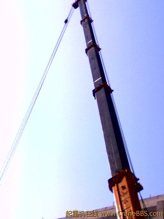 20101129020.jpg