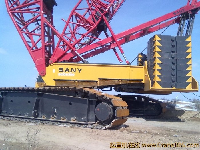 20101130022.jpg