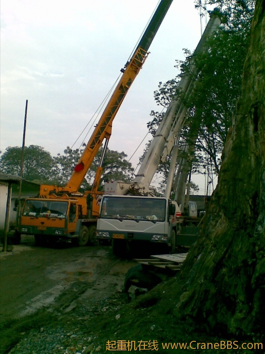 20110504(004).jpg