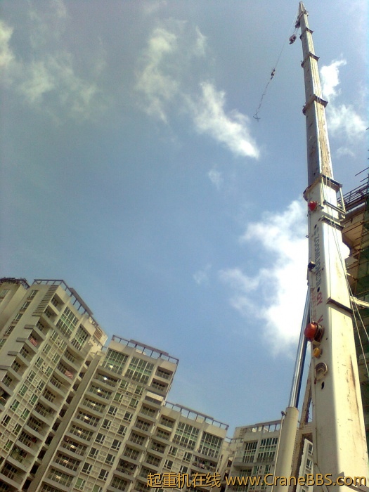 图像0271.jpg