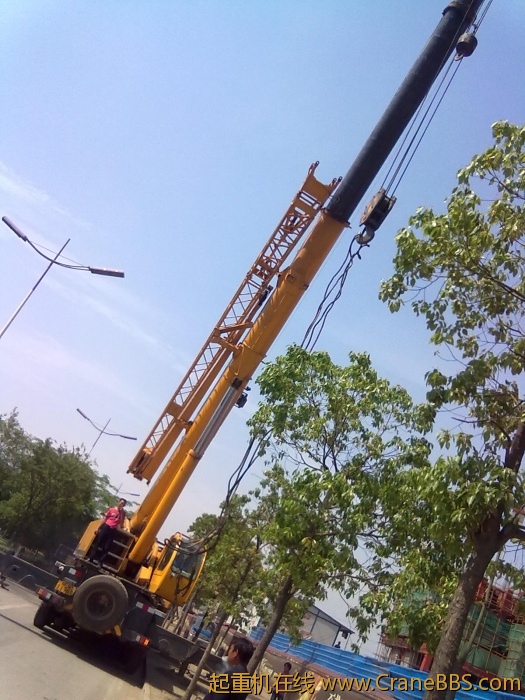 20110513193.jpg