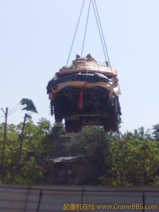 20110513196.jpg