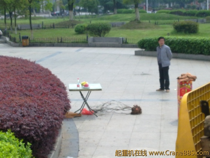 20110417155.jpg