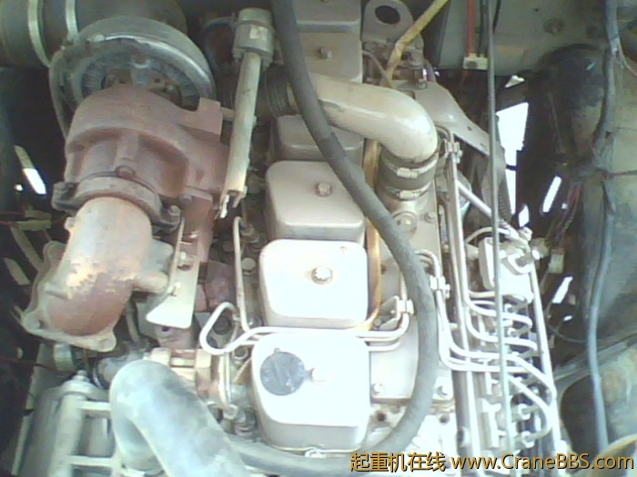 IMG0414A.jpg
