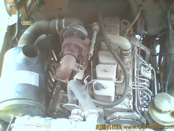 IMG0415A.jpg