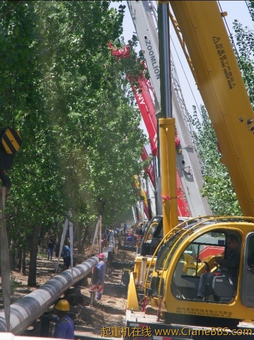a15.jpg