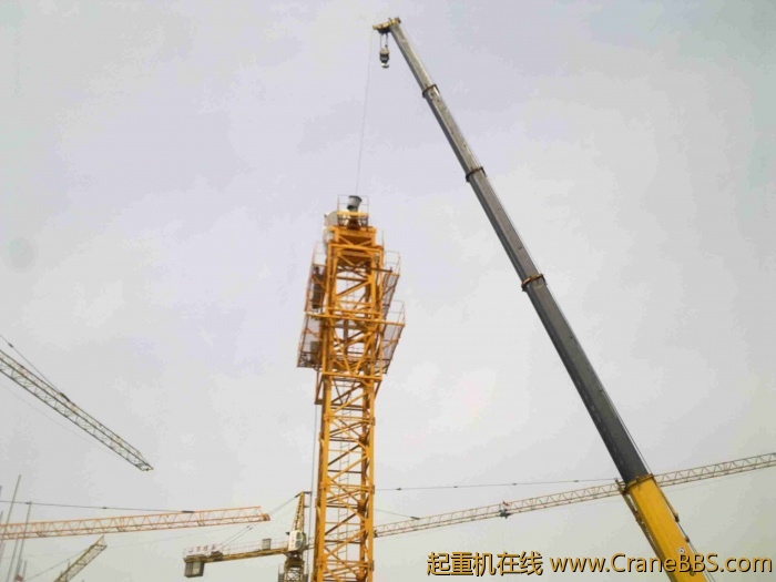 20110504158.jpg