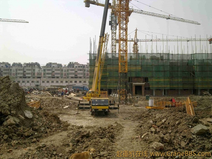 20110504159.jpg