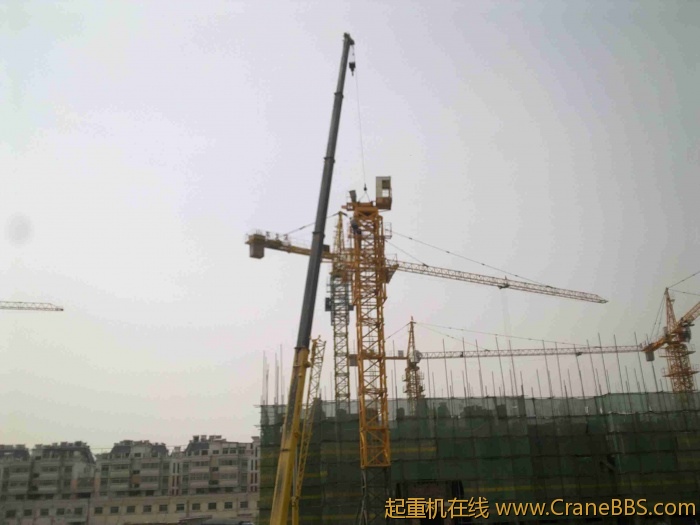 20110504160.jpg