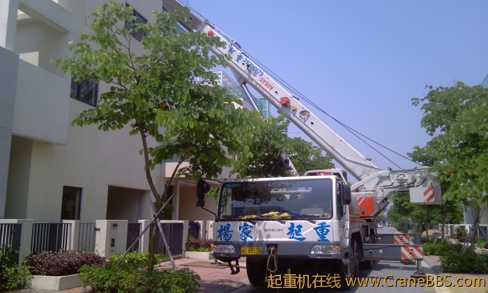 IMAG0177.jpg