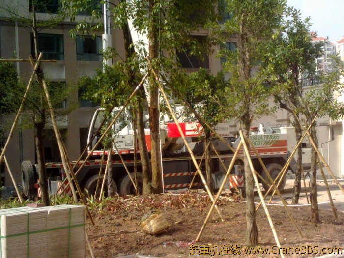 20110520719.jpg
