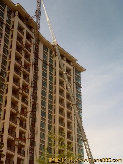 20110520720.jpg