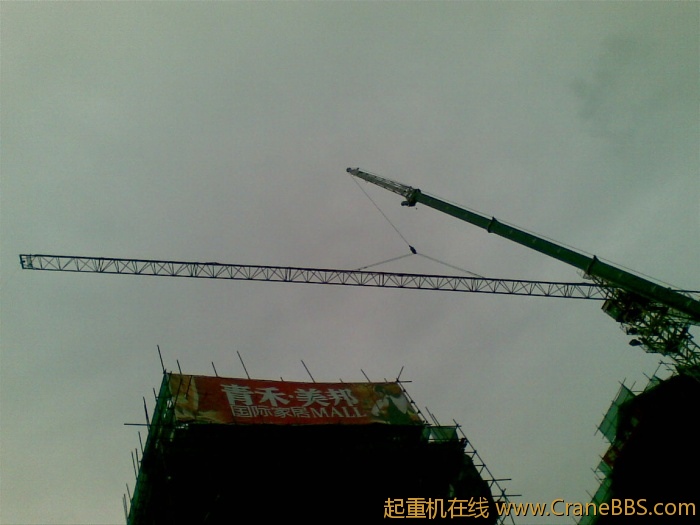20110503(005).jpg