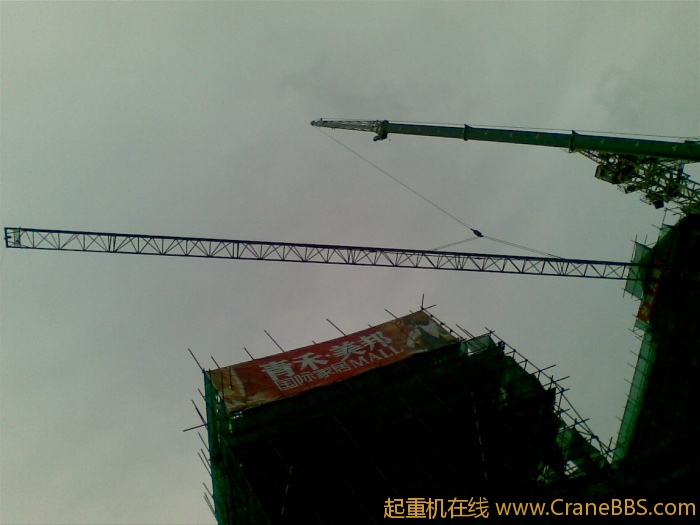 20110503(006).jpg