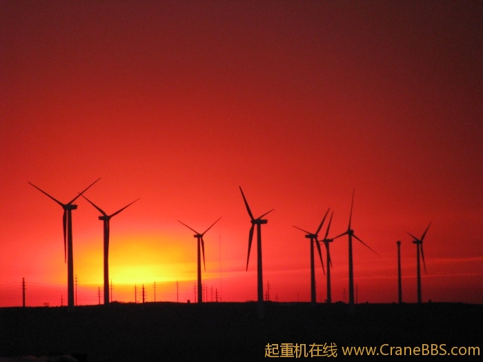 大草原的美景 371.jpg