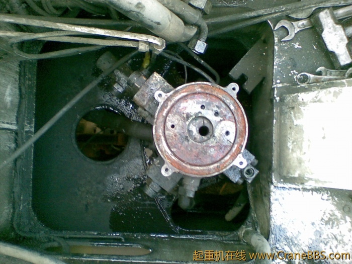 20110521.jpg