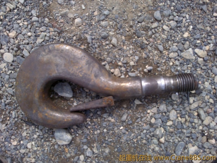 20110518036.jpg
