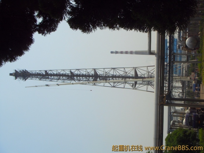 SDC13885.JPG