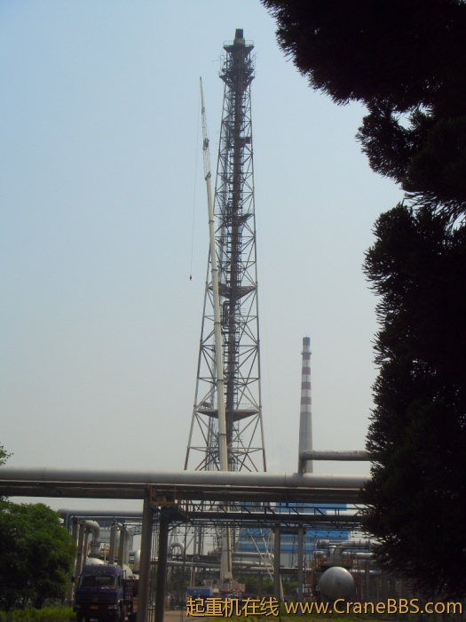 SDC13885.JPG