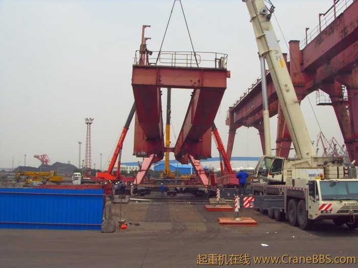 SDC13803.JPG
