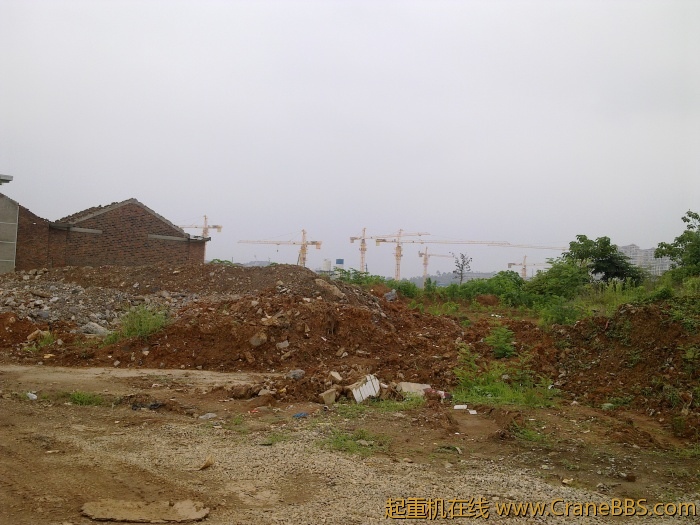 20110524043.jpg