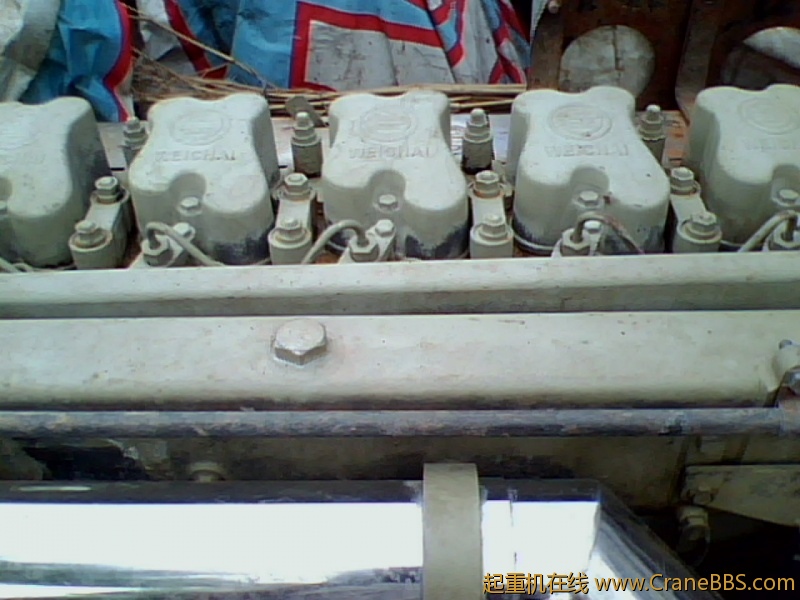 IMG0825A.jpg