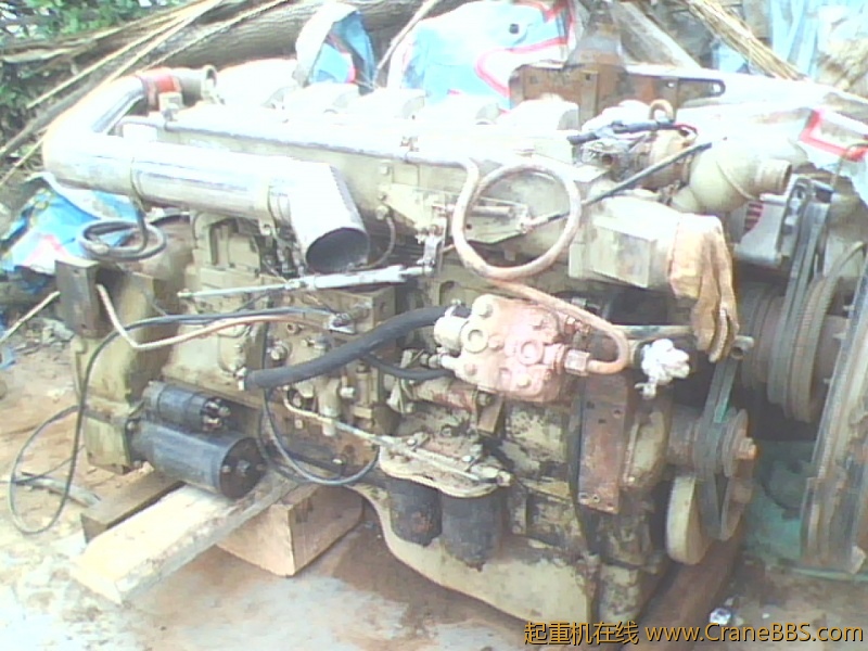 IMG0826A.jpg