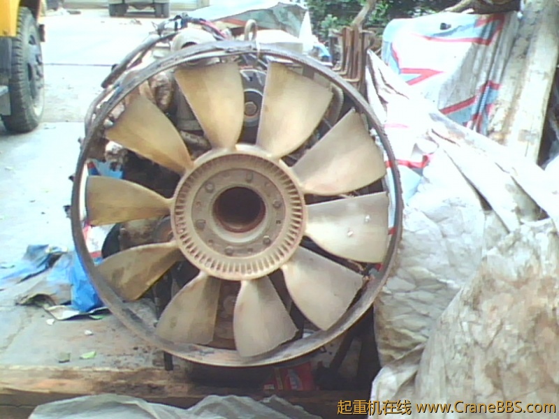 IMG0830A.jpg
