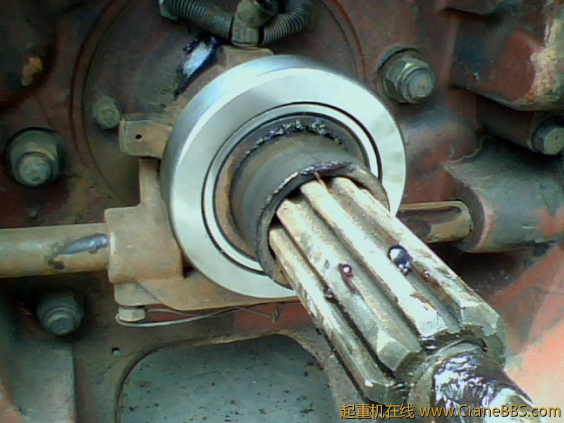 IMG0835A.jpg