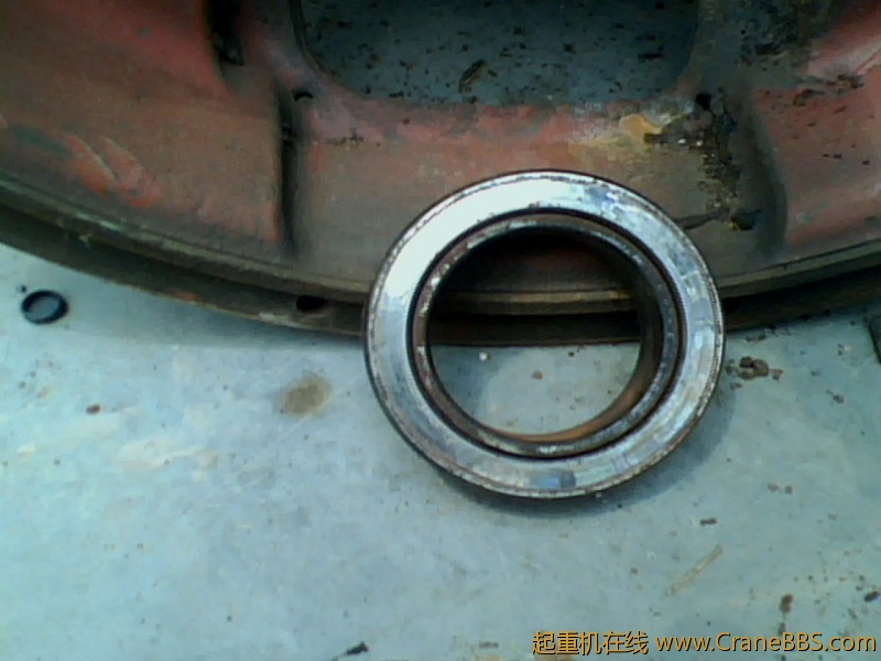 IMG0836A.jpg