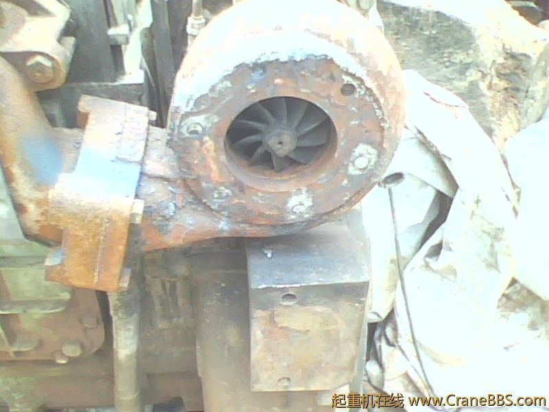 IMG0837A.jpg