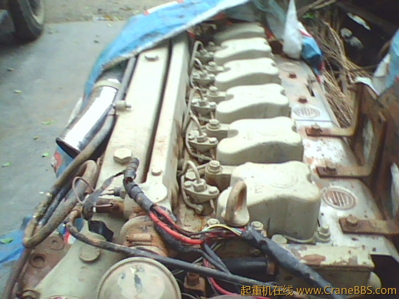 IMG0831A.jpg