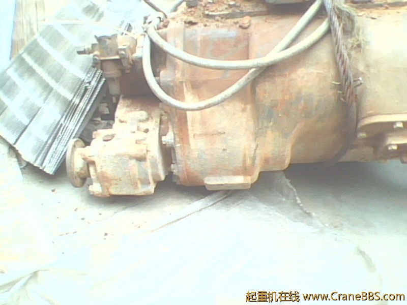 IMG0833A.jpg