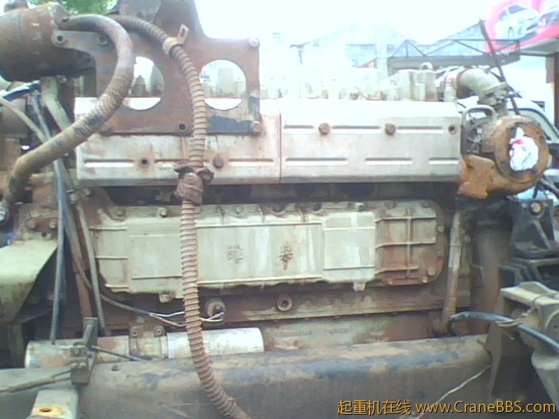IMG0861A.jpg