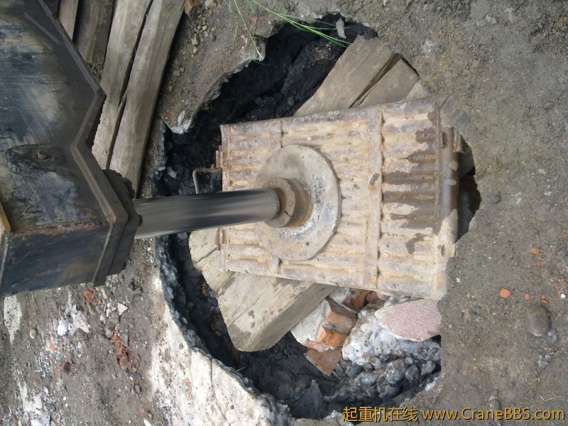 20110804729.jpg