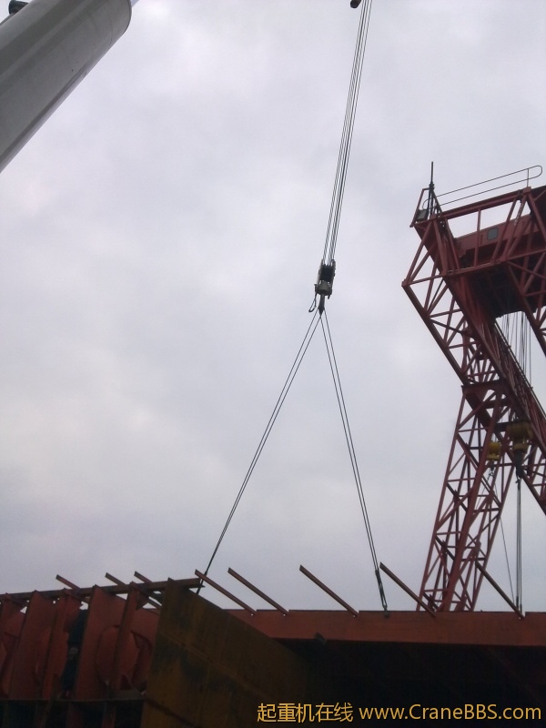 20110524558.jpg