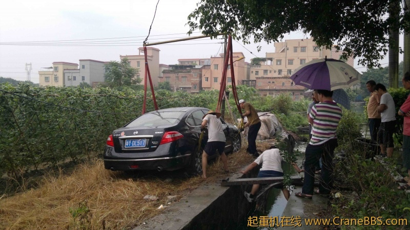 图像2043.jpg
