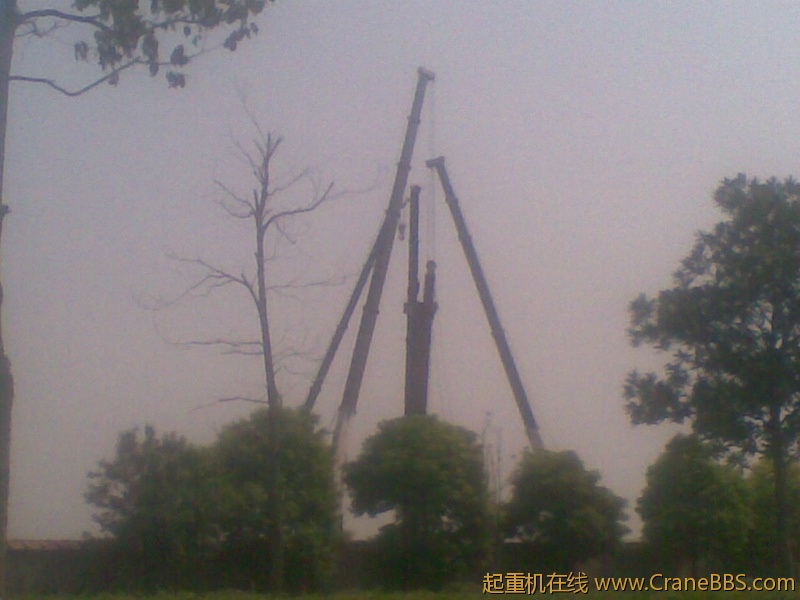 20110803(001).jpg