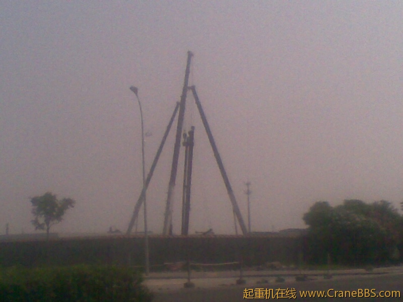 20110803.jpg