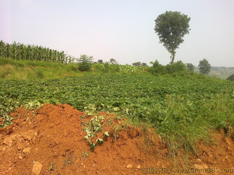 20110809111.jpg
