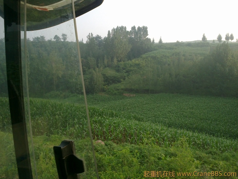 20110809126.jpg