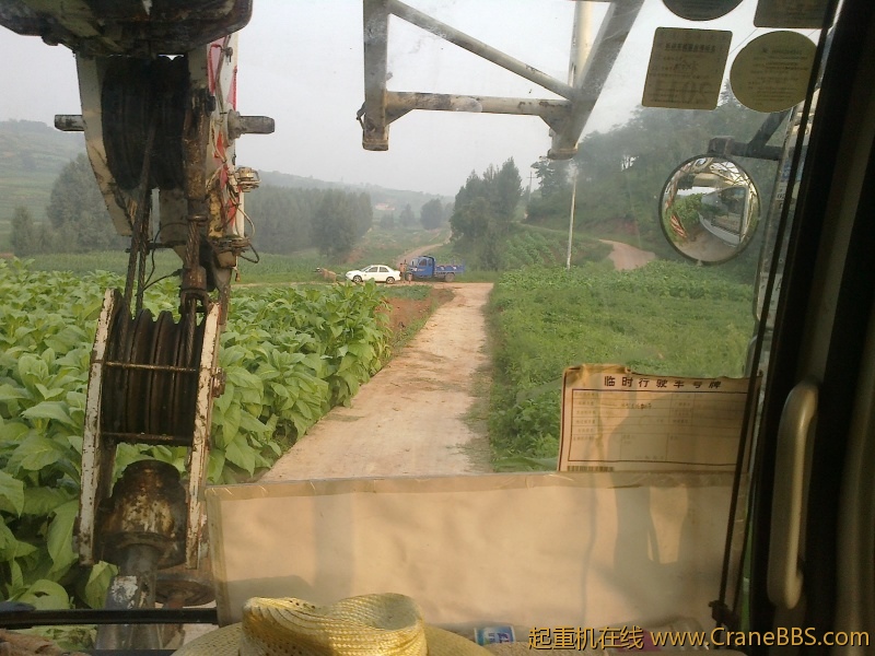 20110809127.jpg