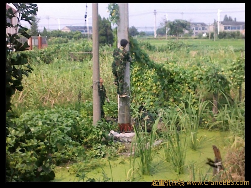 nEO_IMG_20110812225.jpg