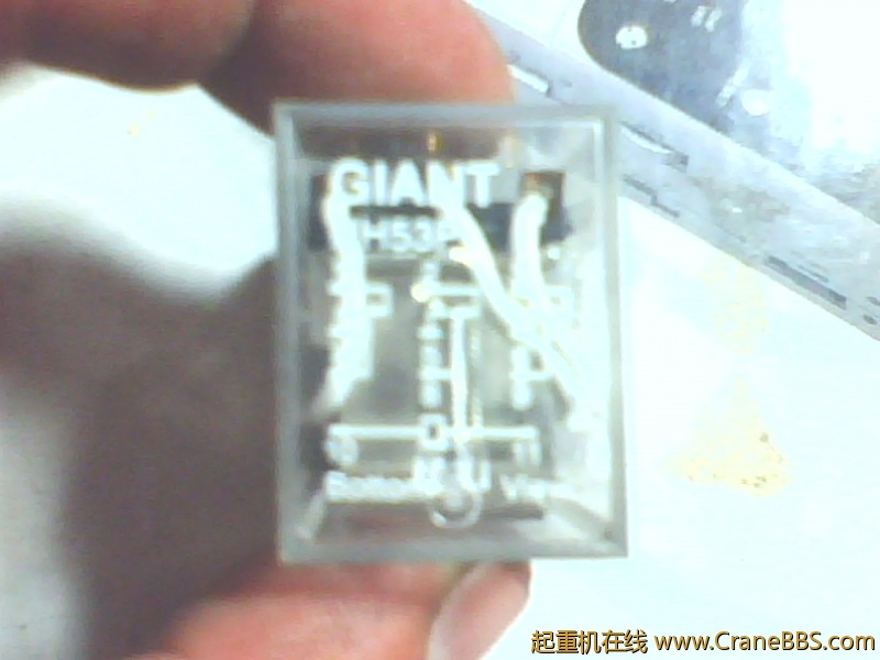 IMG0879A.jpg