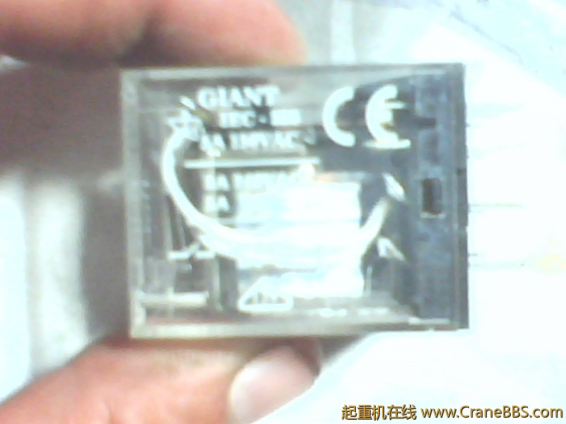 IMG0880A.jpg
