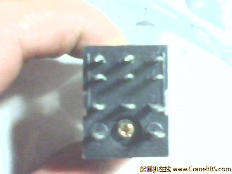 IMG0881A.jpg