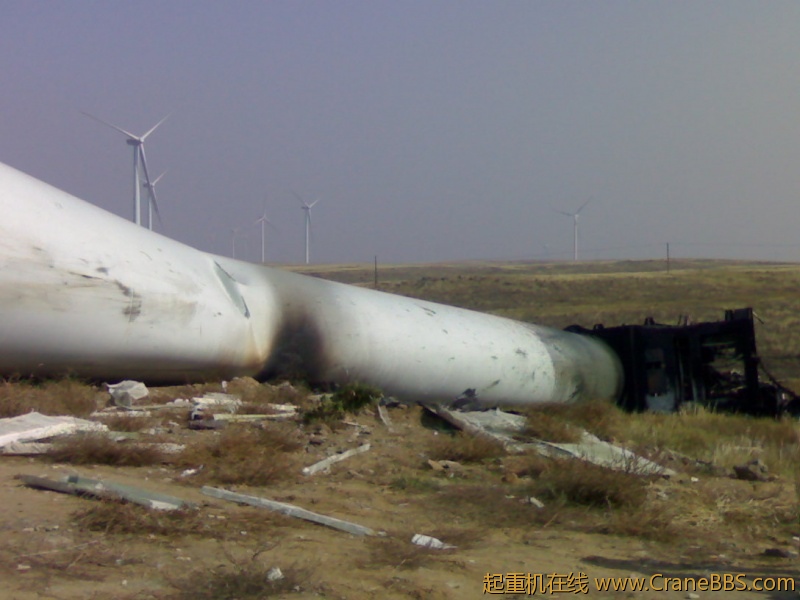 20101009285.jpg