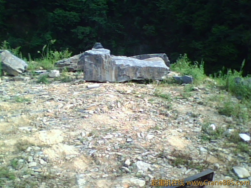 IMG0875A.jpg